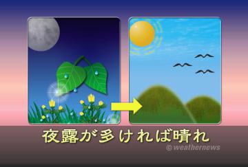 夜露が多ければ晴れ