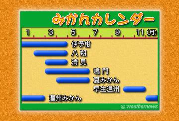 みかんカレンダー