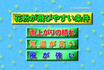 花粉が飛びやすい条件