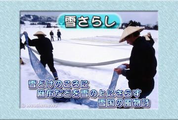雪さらし