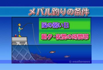 メバル釣りの条件