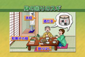 身の回りのスギ