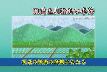 旧暦五月は雨の季節