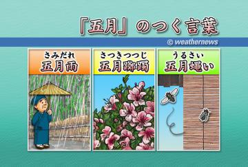 「五月」のつく言葉