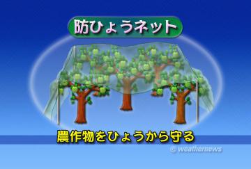 防ひょうネット