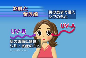 お肌と紫外線