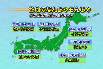 各地のなんじゃもんじゃ