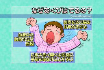 なぜあくびはでるの