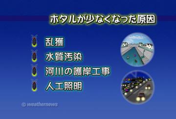 ホタルが少なくなった原因