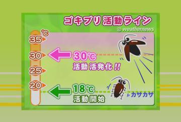 ゴキブリ活動ライン