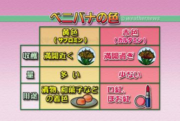 ベニバナの色