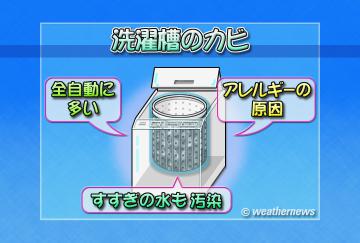 洗濯槽のカビ