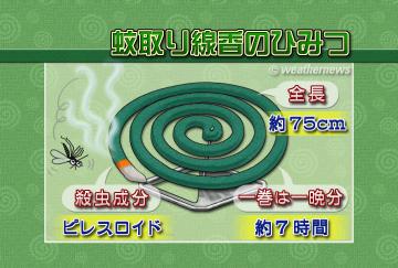 蚊取り線香のひみつ
