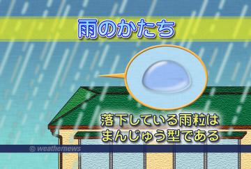 雨のかたち