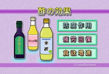 酢の効果