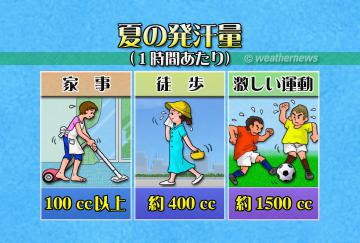 夏の発汗量