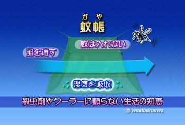 蚊帳(かや)2