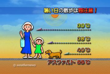 暑い日の散歩は要注意