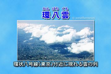 環八雲