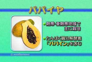 パパイヤ