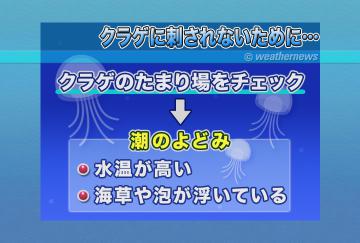 クラゲに刺されないために
