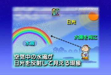 虹