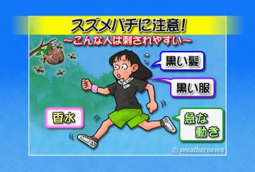 スズメバチに注意
