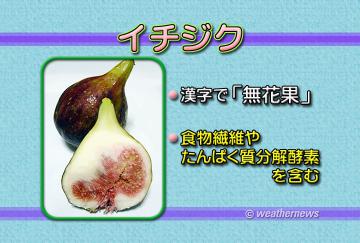 イチジク