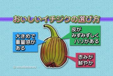 おいしいイチジクの選び方