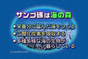 サンゴ礁は海の森