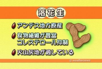 落花生