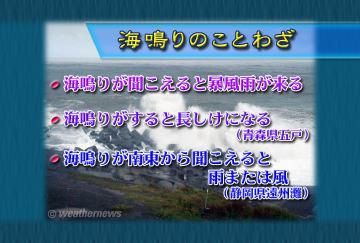 海鳴りのことわざ