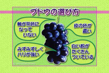 ブドウの選び方