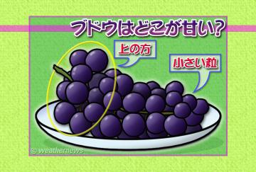 ブドウはどこが甘い