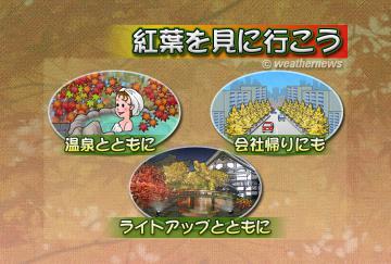 紅葉を見に行こう