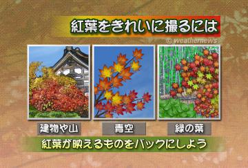 紅葉をきれいに撮るには