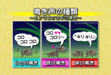 鳴き声の種類