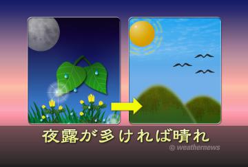 夜露が多ければ晴れ