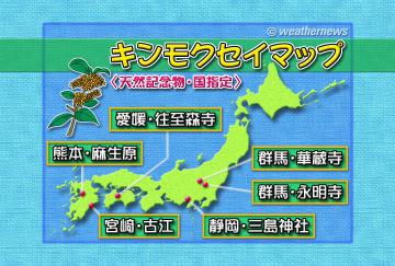 キンモクセイマップ