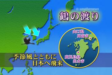 鶴の渡り