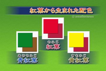 紅葉から生まれた配色