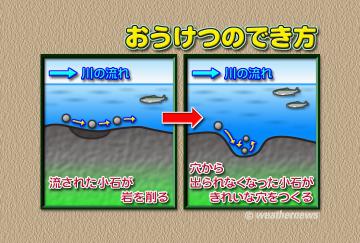 おうけつのでき方