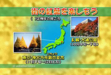 街中の紅葉を楽しむ