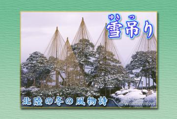 雪吊り（ゆきつり）