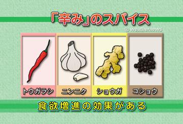 「辛み」のスパイス