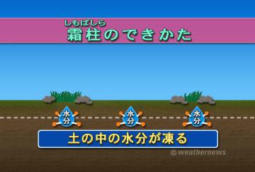 霜柱のできかた・１