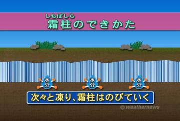 霜柱のできかた・２