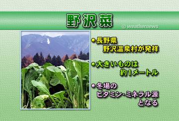 野沢菜