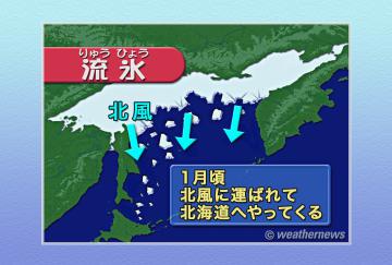 流氷(りゅうひょう)