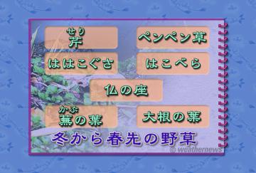 冬から春先の野草